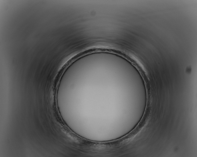 X0000090440829200707131028