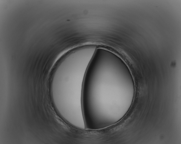 X0000090440830200707131028