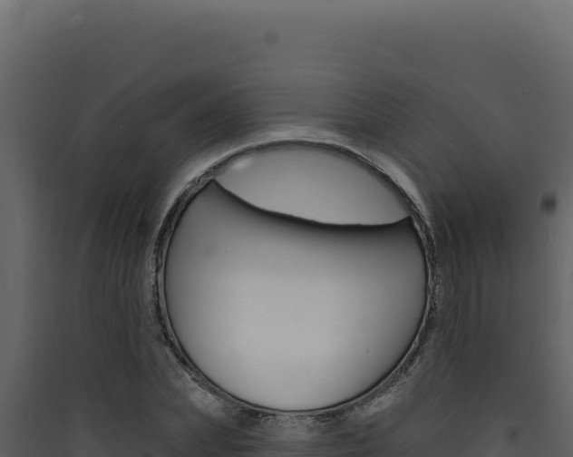 X0000090440831200707131028