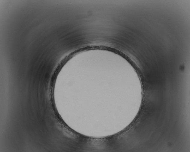 X0000090440832200707131028