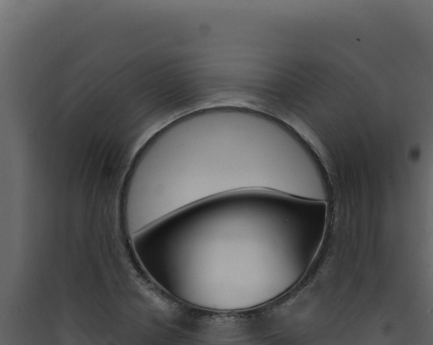 X0000090440834200707131028