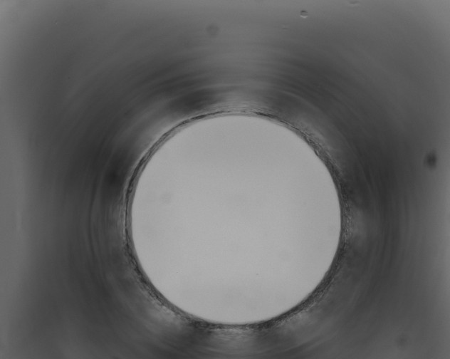 X0000090440836200707131028