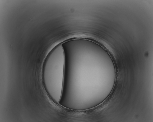 X0000090440837200707131028