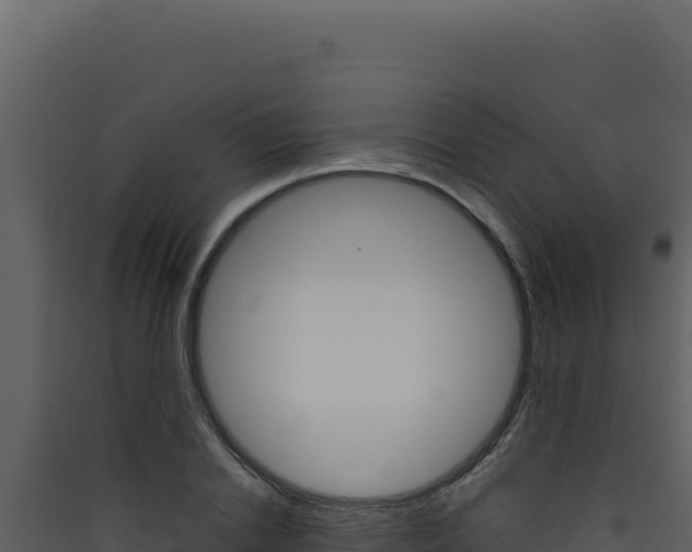 X0000090440838200707131028