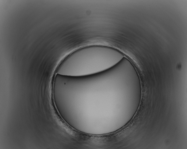 X0000090440840200707131028