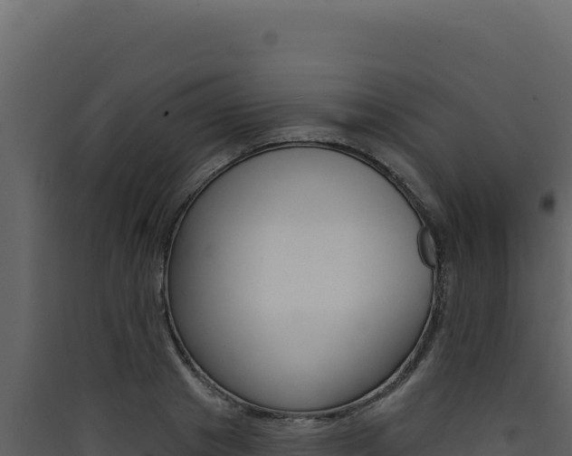 X0000090440841200707131028