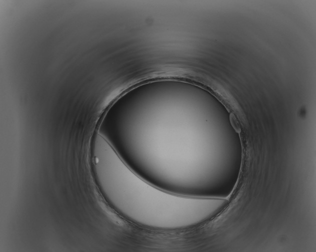 X0000090440842200707131028