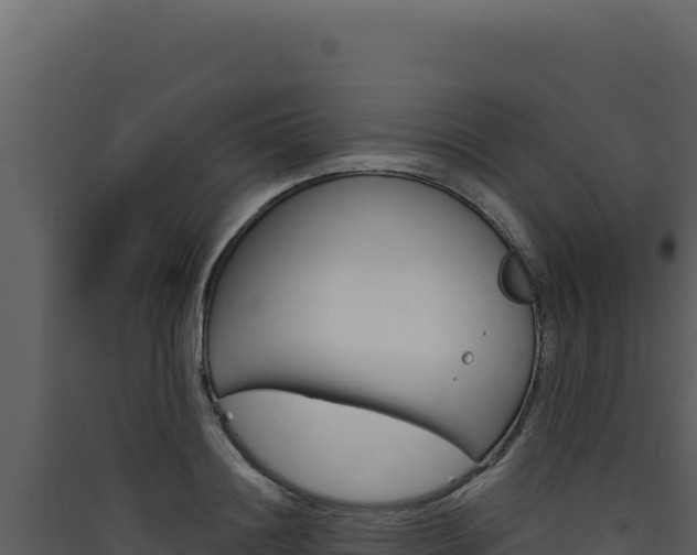X0000090440844200707131028