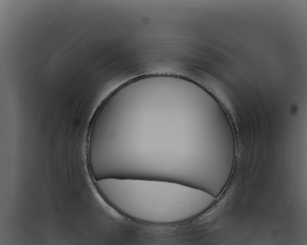 X0000090440847200707131028