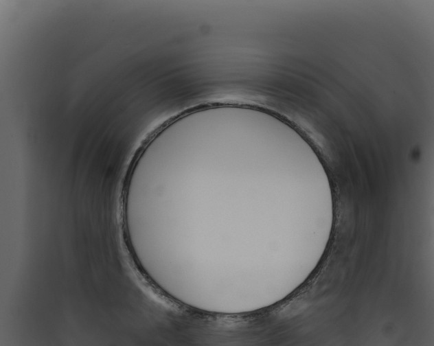 X0000090440848200707131028