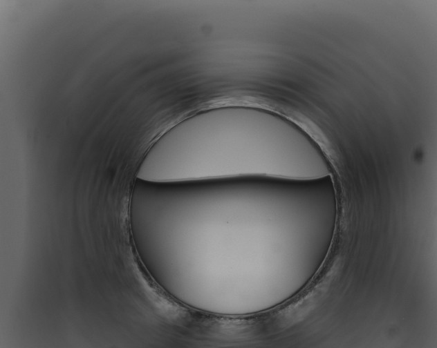 X0000090440849200707131028