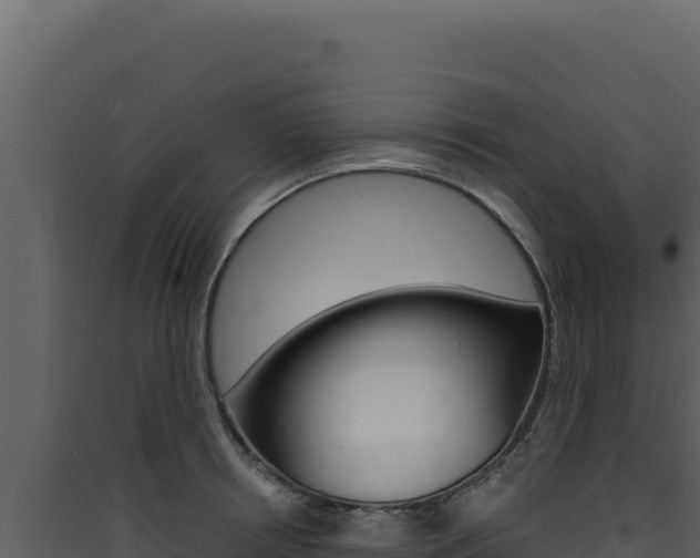 X0000090440850200707131028