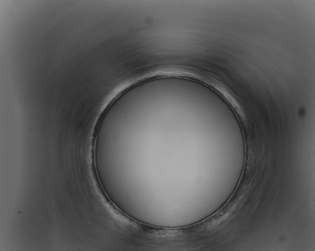 X0000090440853200707131029