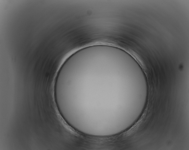 X0000090440854200707131029