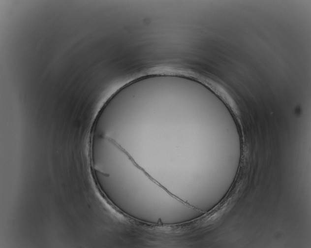 X0000090440855200707131029