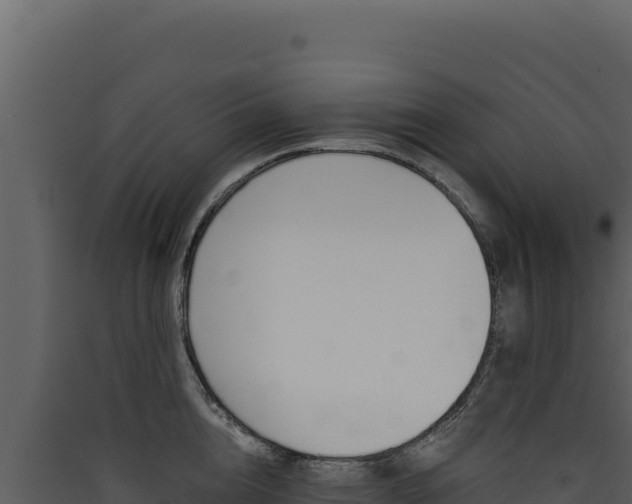 X0000090440856200707131029