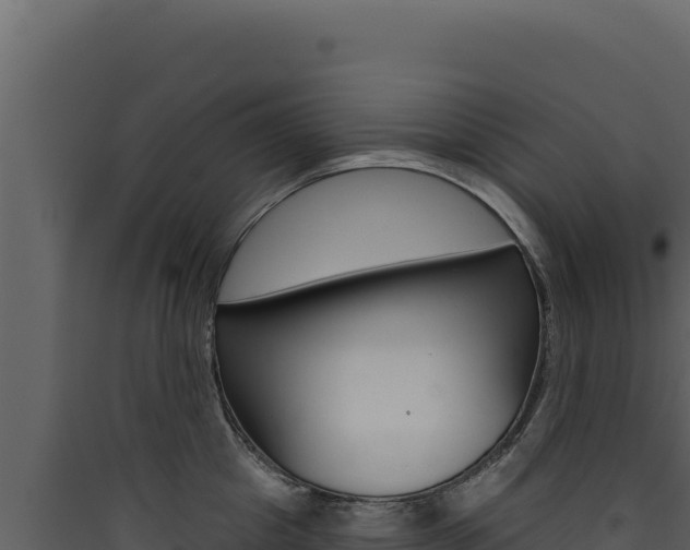 X0000090440857200707131029