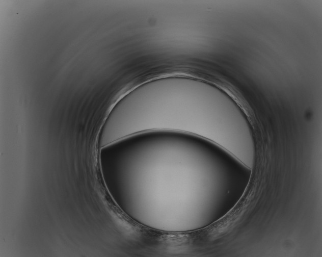 X0000090440858200707131029