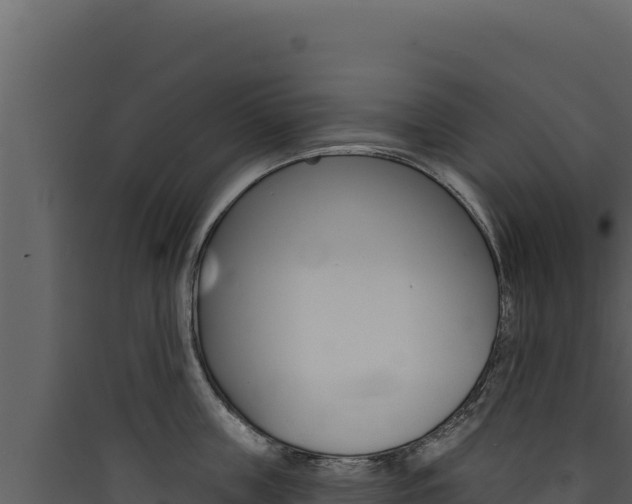 X0000090440859200707131029