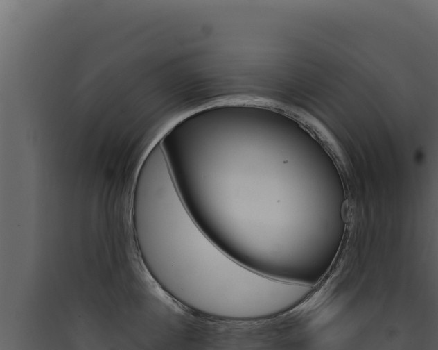 X0000090440860200707131029
