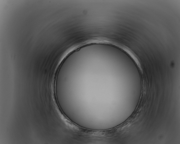 X0000090440861200707131029