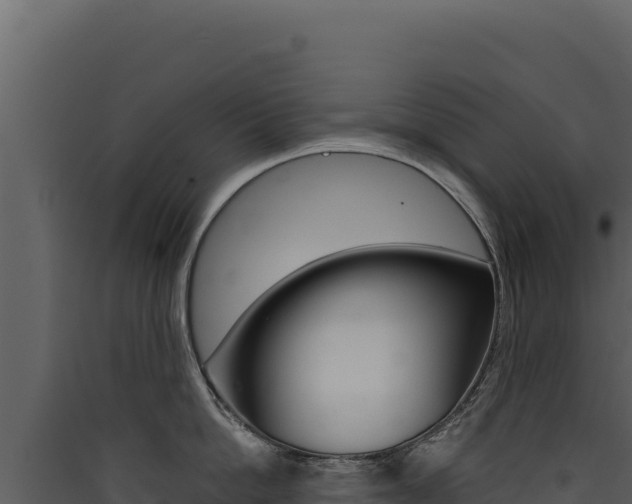 X0000090440862200707131029