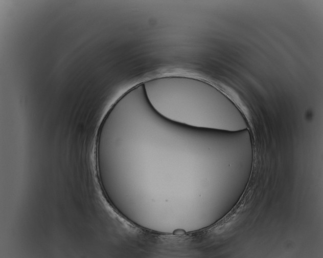 X0000090440863200707131029