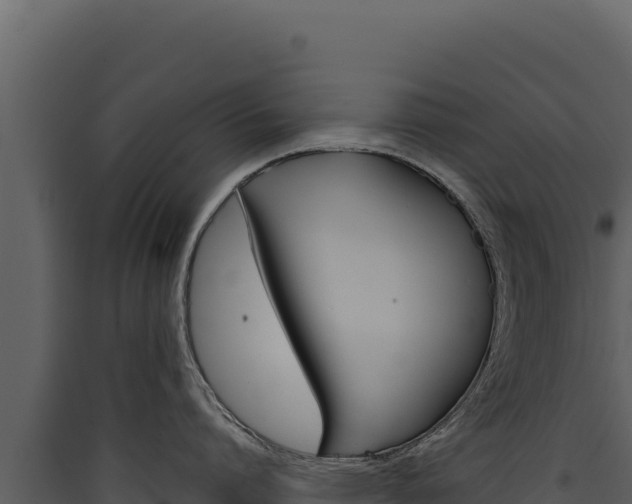 X0000090440864200707131029