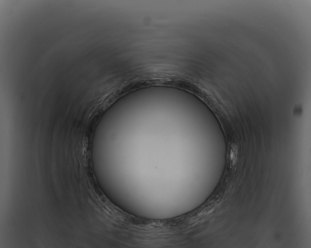 X0000090440867200707131028