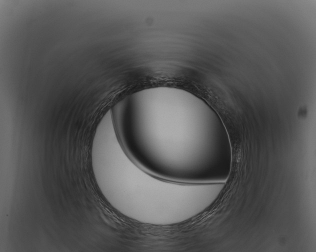 X0000090440868200707131028