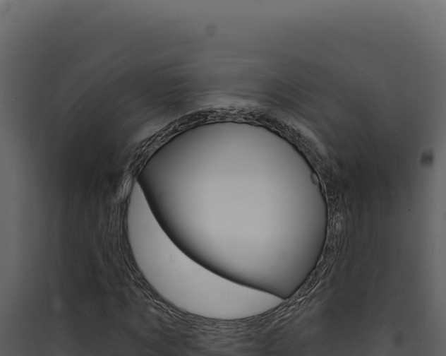 X0000090440869200707131028