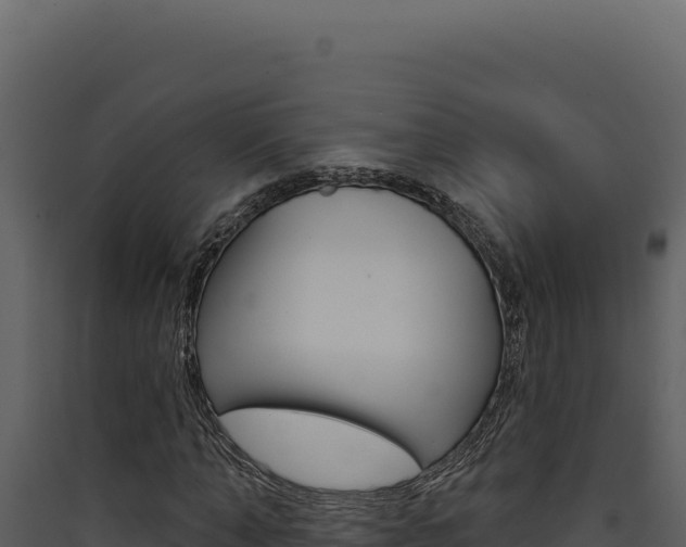 X0000090440870200707131028