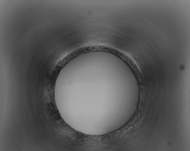 X0000090440871200707131028