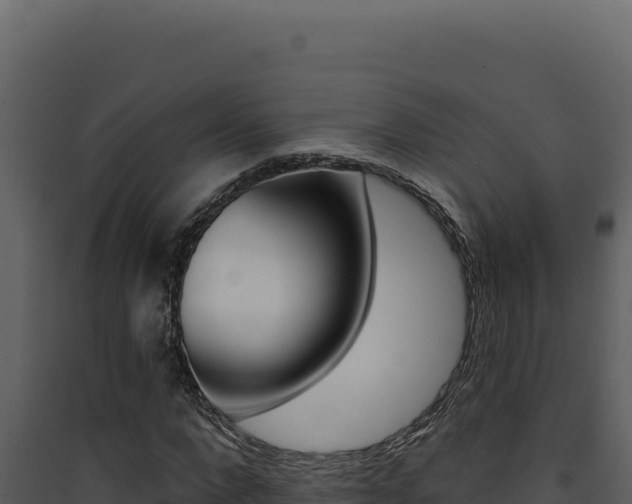 X0000090440872200707131028