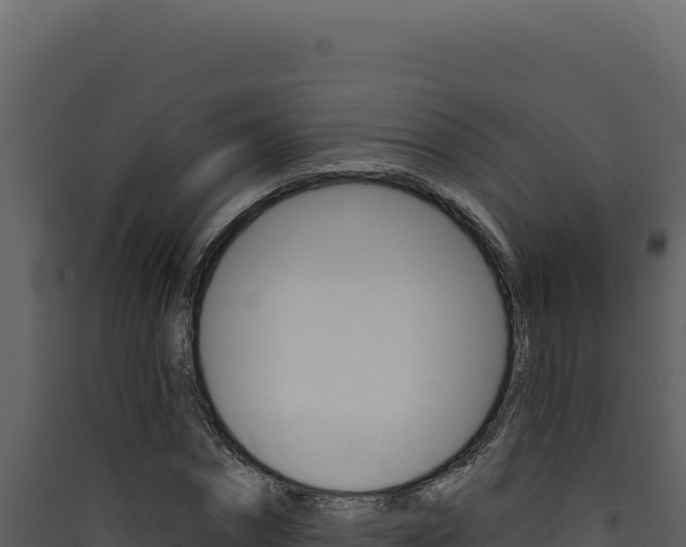 X0000090440874200707131028