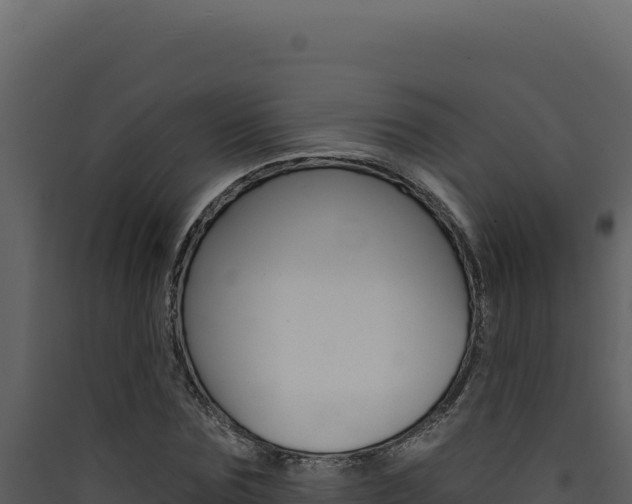 X0000090440875200707131028