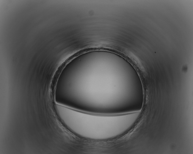 X0000090440876200707131028