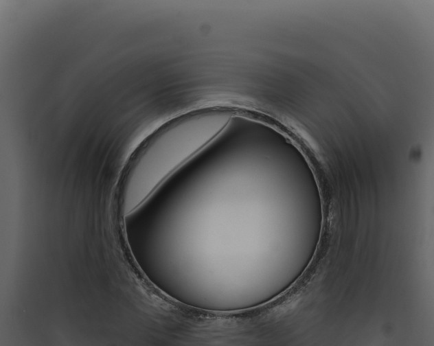 X0000090440877200707131028