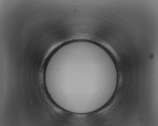 X0000090440878200707131028