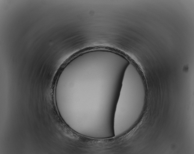 X0000090440879200707131028