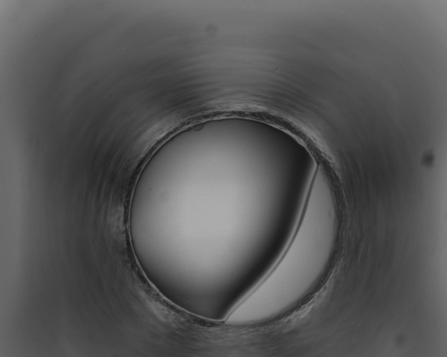 X0000090440881200707131028