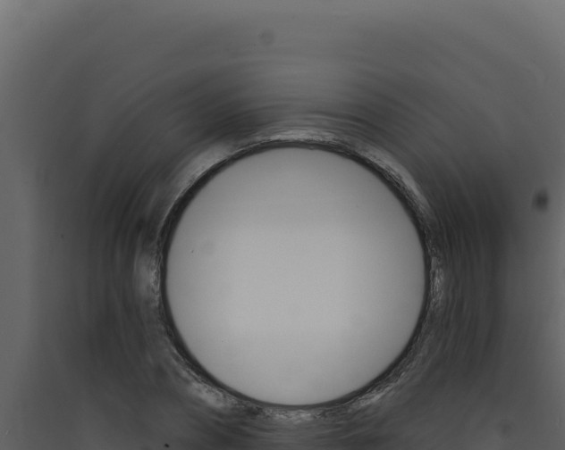 X0000090440882200707131028