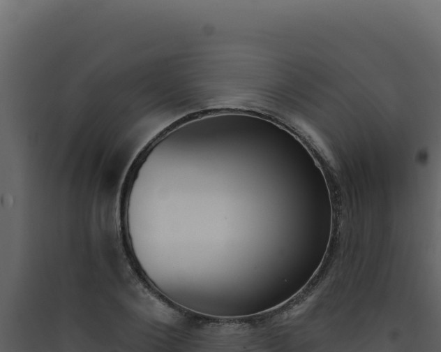 X0000090440884200707131028