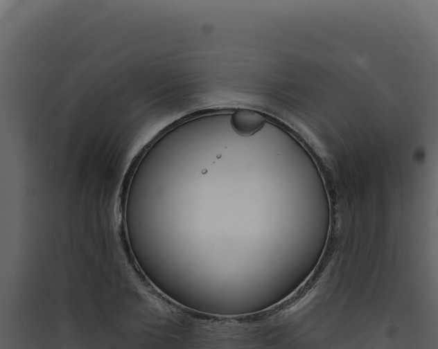 X0000090440885200707131028