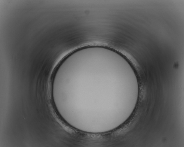 X0000090440886200707131028