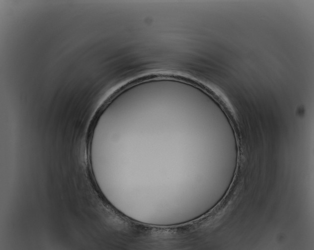 X0000090440887200707131028