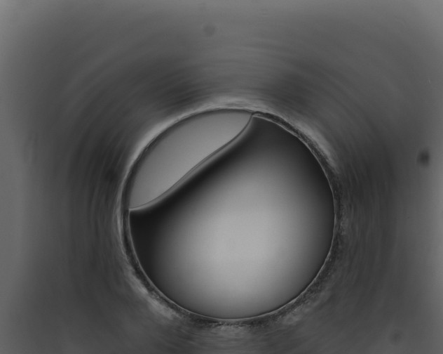 X0000090440888200707131028