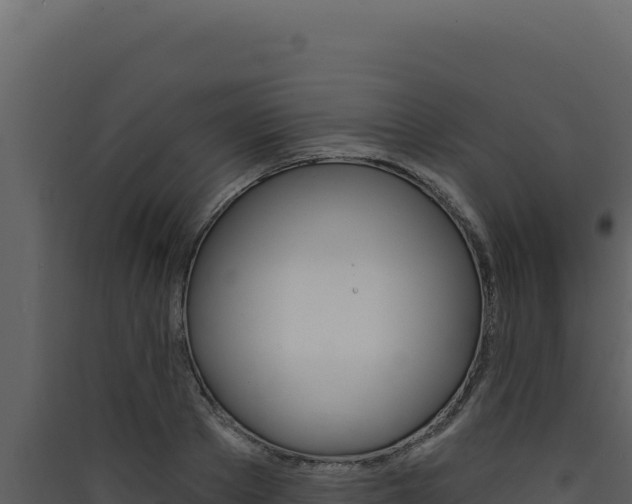 X0000090440889200707131028