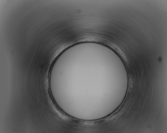 X0000090440890200707131028