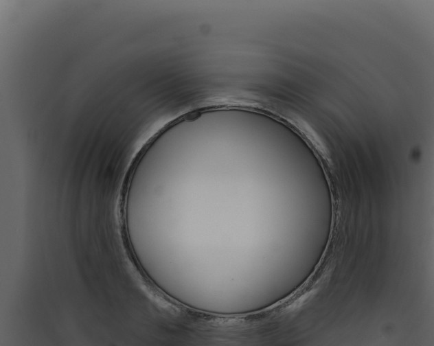 X0000090440893200707131028